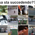 che-succede